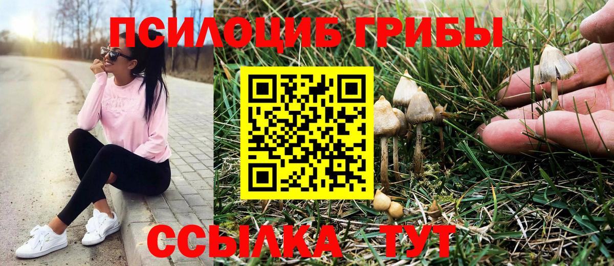 Галлюциногенные грибы ЛСД Вязники